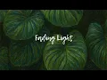 Fading Light