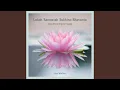 Download Lagu Lokah Samastah, Bliss