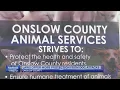 Onslow County works on changing law to make pet owners more responsible
