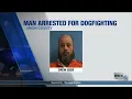 40 dogs seized in Union County Dog fighting arrest