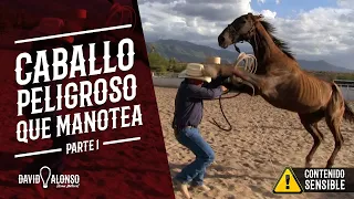 caballo peligroso que manotea parte 1