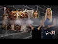 Former employees claim Coffeyville animal shelter unnecessarily euthanized animals