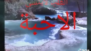 القلب لا ينسى احبة       دندنها