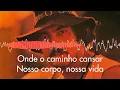 Download Lagu Erasmo Carlos - Dois Animais Na Selva Suja da Rua (Carlos, Erasmo)