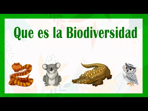 Download MP3 Que es la BIODIVERSIDAD 🕷🐅🌳🐦 y cuales son los Factores que la Afectan