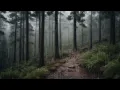Download Lagu Suara Alam yang Menenangkan untuk Bantuan Insomnia : ASMR Hujan dan Badai Petir Tenang di Gunung