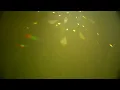 Into Dust (Still Falling) - Four Tet