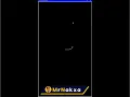 Python Turtle Animation to Draw Python Logo