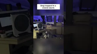 Terrifying Storm Survival  Rescuing Our Dog!