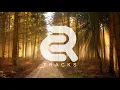 Adriatique - Rollox (Original Mix) [Diynamic]