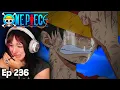 Lagu Usopp VS Luffy || One Piece Episode 236 Reaction