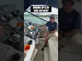 Download Lagu 30 Year Old MASSIVE Tiara Hits The Water | 1996 Tiara 4000 Express 8.3 L Cummins Diesel #boat
