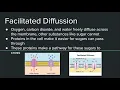 6th Grade PW Lesson