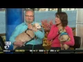 Sneak Peek at the Bay Area Pet Fair