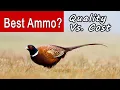How To Pick The Best Ammo For Pheasant Hunting