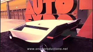 vector ken miles dolphin