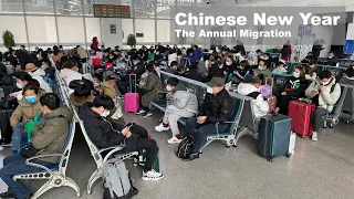 春节迁徙