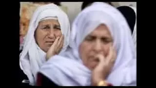 ميس شلش من جوى الزنزانة  ميس شلش من جوى الزنزانة