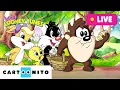 Download Lagu 🔴 LIVE: BABY LOONEY TUNES | Fun, Teamwork and Stories | Cartoons for Kids | @cartoonito