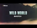 Download Lagu Wild World Borneo HD
