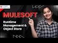 MuleSoft Runtime Management Object Store Learn MuleSoft Online Course Tutorial CloudFoudation