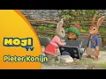 Lagu SPECIAL: DE ONVERWACHTE VONDST 🤩 | PIETER KONIJN 🐰 | Nederlandse Kinderseries | MojiTV