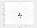 MAT341 Computational Mathematics Visualization of the Nelder-Mead Algorithm