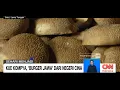 Download Lagu Kue Kompya, 'Burger Jawa' Dari Negeri Cina