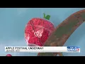 Apple Festival underway in Jackson Ohio