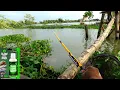 Lagu BAGUS SEKALI REZEKI HARI INI,, Saya mancing disini dapat ikan mas besar-besar berkali-kali