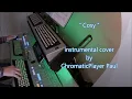 Cosy - Organ \u0026 keyboard (chromatic)