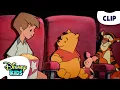 Pooh and Friends Go To The Movies The New Adventures of Winnie the Pooh disneykids
