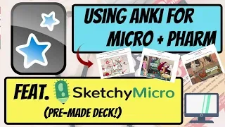 A FOOL-PROOF Way to Learn with ANKI