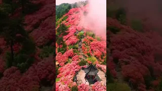 موسيقى رومنسيه هادئة 