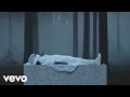 Download Lagu Sia - Loved Me Back To Life (Lyrics)