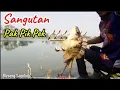 Download Lagu Ikan disini gak habis-habis||Mancing Saguling Terbaru||Bleseng Saguling Terbaru 