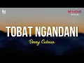 Download Lagu Tobat Ngandani - Denny Caknan x Youtuber Ngawi (LIRIK)