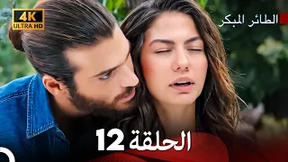 مسلسل الطائر المبكر الحلقة 12 4K Arabic Dubbed 