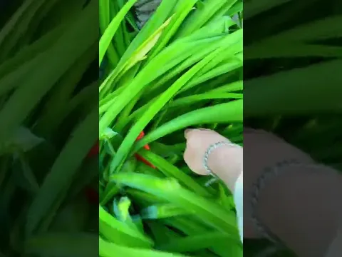 Нашел часы Влада А4 😳 #shorts