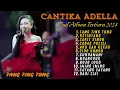 Download Lagu Tang Ting Tung - Cantika Adella Full Album Dangdut Koplo Viral 2024