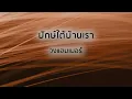 ปักษ์ใต้บ้านเรา - วงแฮมเมอร์ (Official Audio)
