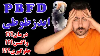 ایدز طوطی یا فساد پر و منقار که در ایران شیوع پیدا کرده چیست        دندنها