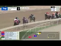 Gulfstream Park October 25 2025 Race 3