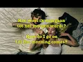 S10 & Oscar and the Wolf - Safe and Sound (English Translation)