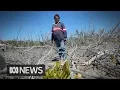 Download The Top End at the frontline of Australia’s most severe climate change, scientists warn | ABC News mp4 3gp mp3 videos - waplic