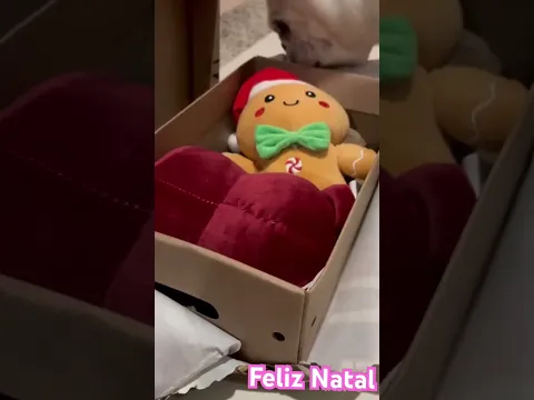 Feliz Natal