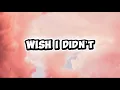 Lagu Megan Moroney - Wish I Didn’t (Lyrics)