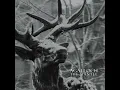 ...And The Great Cold Death Of The Earth (2016 - Remaster) - Agalloch