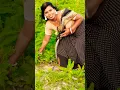 Download Lagu phool gulab ka