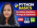 Day 6 Variables Numbers Strings Comments 30 Days 30 Minutes Challenge
